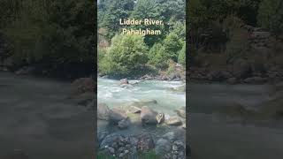 Lidder River Pahalgham trending nature trip love [upl. by Adnarem]