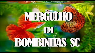 MERGULHO EM BOMBINHAS SC [upl. by Ramin]