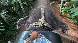 Kerala thekkady elephant 🐘 ride travel music elephant torism [upl. by Krystyna912]