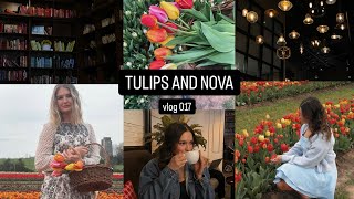 vlog 017 day trip to nova Chateau de Chantilly thrifting tulip flower field [upl. by Yeffej759]