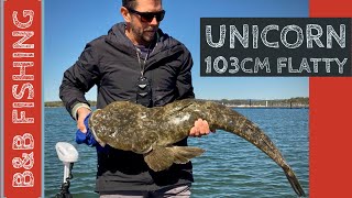 Monster 1m flathead and mulloway on epic Forster trip [upl. by Adnirim99]