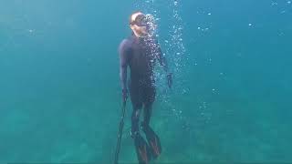 Freediving and Snorkeling Vista Park Reef in Fort Lauderdale  Shore Dive and Beach Dives [upl. by Lewiss]