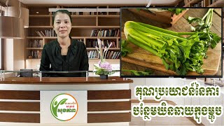 អត្ថប្រយោជន៍របស់ឃិនឆាយ  Benefits of Chervil  Khin Chhay [upl. by Yme]