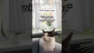 Etapy bycia w ciąży 😂 ciąża mama macierzyństwo catmeme catmemes memy capcut memecut haha [upl. by Kolosick]