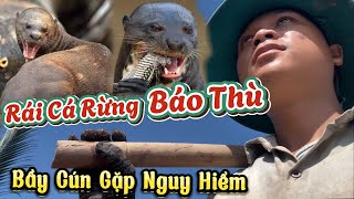 Lở Chọc Nhầm Một Con Rái Cá Rừng Kéo Nhau Cả Bầy Đến Tận Nhà Để Trả Thù Bầy Cún Của Tôi [upl. by Corell]