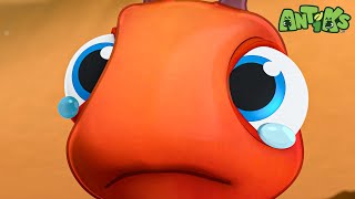 Its Okay to Cry Joey 🔴NEW EPISODE🔴 ANTIKS  Funny Cartoons For All The Family [upl. by Allard]