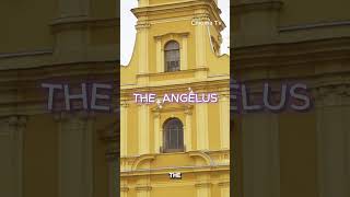 The Angelus Prayer angelus catholicprayer catholicjourney [upl. by Tnahs]