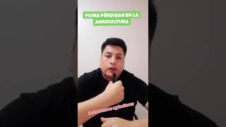 AGRICULTURA EN PIURA SIN AGUA [upl. by Elkin762]