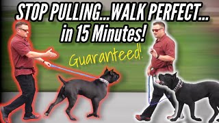 How to STOP your DOG PULLING on LEASHGUARANTEED   Dog Trainers Secret Revealed [upl. by Anod]