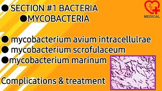 Mycobacterium avium scrofulaceum marinum  Mycobacteria  Microbiology [upl. by Anaitak]