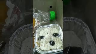 Unboxing snack seminar Di UMY makanantradisional lemper lemperayam kroket roti klappertaart [upl. by Braden471]