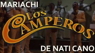 Mariachi Los Camperos Live  La Fonda  La Morena AUDIO ONLY [upl. by Ariaj]