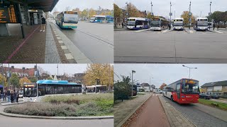 Het openbaar vervoer in Venlo en Blerick 30112024 [upl. by Nyledam]