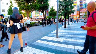 Ochanomizu in Tokyo 🐶🍻 A town that plays music ♪ 4K ASMR Nonstop 1 hour 02 minutes [upl. by Brunella574]