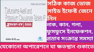 Zocef Cv 500 Tablet  Zocef Cv 500  Use  Dose  Review  Side effects In Bengali [upl. by Felic]