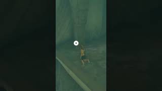 😲Geheimtrick in ZELDA Totk😲 [upl. by Nylikcaj]