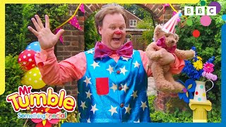 Big Surprises with Mr Tumble ⭐️  Mr Tumble and Friends [upl. by Mouldon418]