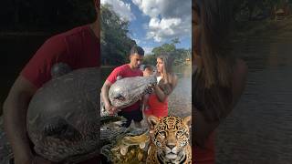 JACARÉ OU TIGRE Qual animal você prefere [upl. by Essyla999]