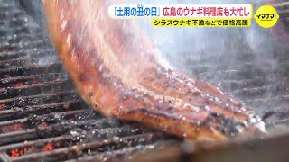 「土用の丑の日」ウナギ専門店は大忙し 「猛暑の夏を少しでも元気に」 シラスウナギ不漁の影響で価格は高騰 [upl. by Ahsinek]