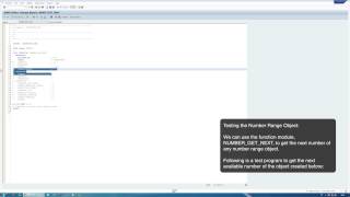 ABAP Tutorial Creating a number range object [upl. by Eras]