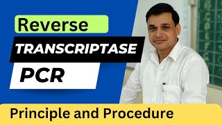 Reverse Transcriptase PCR  its principle and procedure Animation [upl. by Burgener686]