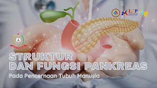 STRUKTUR DAN FUNGSI PANKREAS [upl. by Ivory]