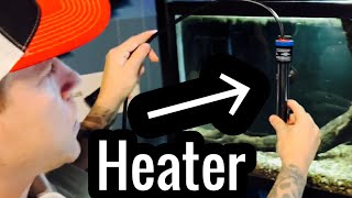 How to Aquarium Heater Setup amp Use [upl. by Laup603]