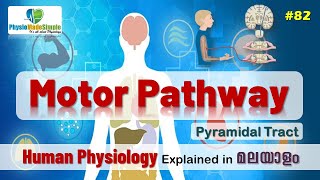 Ep82  Pyramidal Tract  Malayalam [upl. by Amora]