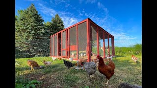 Securing Your Chicken Coop  Keeping Your Coop 100 Secure [upl. by Iduj]