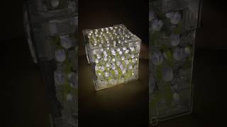 DIY lampu tidur aesthetic tulip [upl. by Sigismund]