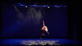 Saulo Sarmiento guest act at Pole Theatre Hungary 2019 [upl. by Canada]