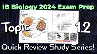 IB Bio 2024 QUICK REVIEW  Topic 12 Ultrastructure of Cells [upl. by Ynaffet]