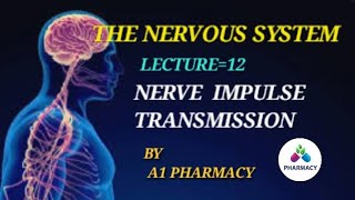 NERVE IMPULSE TRANSMISSION IN HINDI BASICS OF NERVE IMPULSE TRANSMISSION [upl. by Alegnave391]