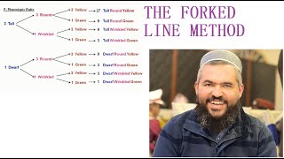 The Forked Line Method Explained An alternative method to Punnett Square [upl. by Iviv229]