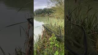 Coking farm woodlands lake carpy carpfish fishing carps fish carp lake carpbasics [upl. by Leandra]