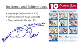 Primary Immunodeficiencies overview pt 1 [upl. by Roobbie306]