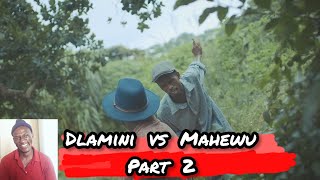 Dlamini vs Mahewu part 2 🤣 uDlamini yiStar reaction video 2024 [upl. by Winfrid]