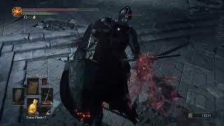 Lothric Castle Part 1  Consumed Kings Garden Untended Graves [upl. by Althea797]