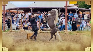 Oyuncularımız bayram boyunca Bozdağ Film Platolarında [upl. by Judye]