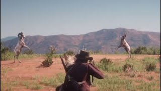 Rare Bighorn Ram Encounter  Red Dead Redemption 2 [upl. by Auberbach]