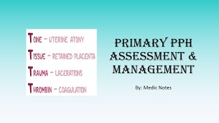 Primary postpartum hemorrhage assessment and management tone tissue trauma thrombin [upl. by Onfroi562]