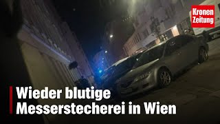 Wieder blutige Messerstecherei in Wien  kronetv NEWS [upl. by Gurtner]