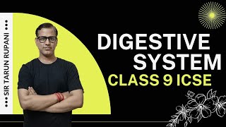 Digestive System One Shot  Digestive System ICSE Class 9  sirtarunrupani [upl. by Kila]