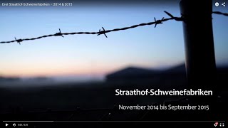 Drei StraathofSchweinefabriken – 2014 amp 2015 [upl. by Ahsital]