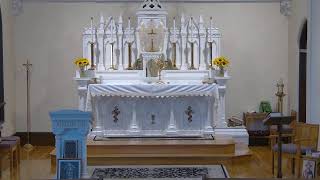 Daily Catholic Mass for Saturday August 3 2024 [upl. by Nivrae]