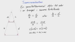 Matte 2  Adam  Geometri  Transversalsatsen [upl. by Yelkreb]