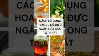 Cách sử dụng hoa đu đủ đực ngâm mật ong vào buổi nào là tốt nhất [upl. by Eenobe]