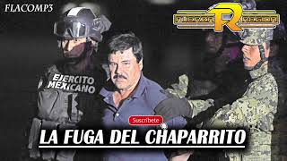 Fuerza Regida  El Chaparrito Corridos 2019 [upl. by Aynas5]