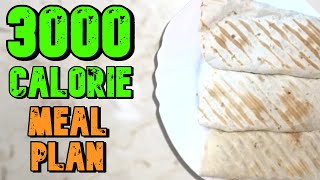 EASY 3000 Calorie Meal Plan For Weight Gain Skinny Guys [upl. by Bena765]