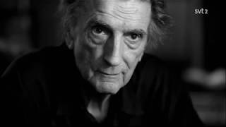 Harry Dean Stanton  Non duality [upl. by Atnoed]